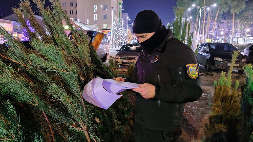 Відповідальність за незаконний продаж ялинок
