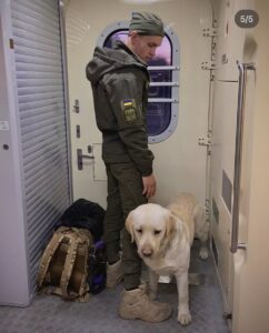 Фото, опубліковане волонтеркою