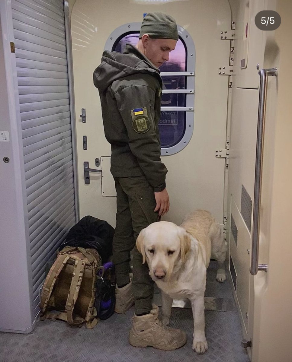 Фото, опубліковане волонтеркою