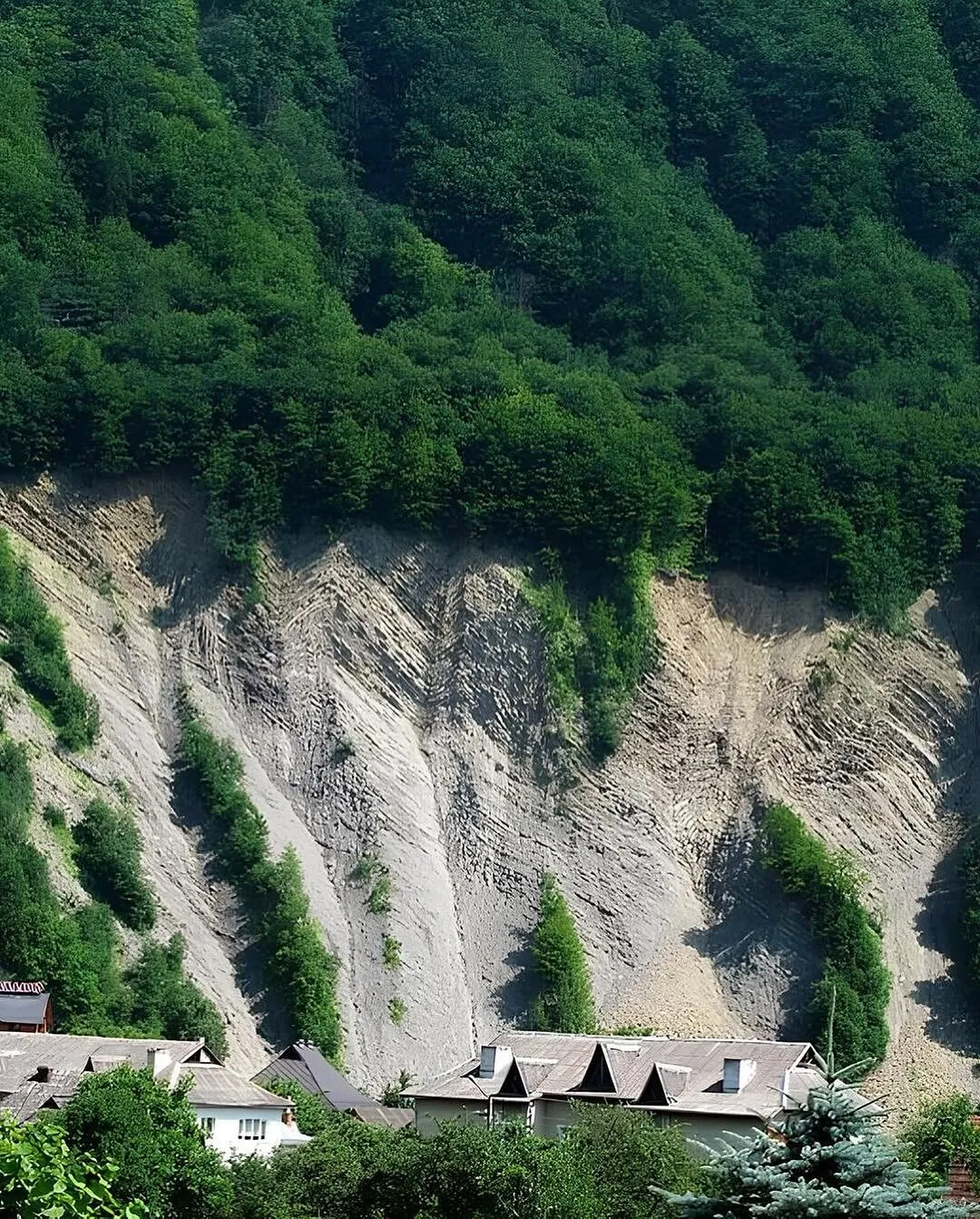Скеля Слон біля Яремче