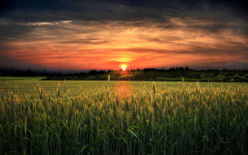 Прикмети на Великдень 2025: які з них попереджають про труднощі, а які обіцяють успіх 20 квітня