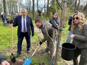 День довкілля в Україні: дуби, екологічні порушення та сподівання на екологічне майбутнє