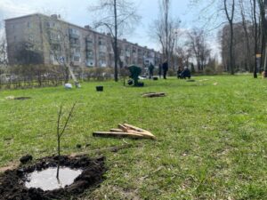 Що необхідно вжити для захисту саджанців від морозу