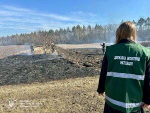 Сміття, вирубки і браконьєри: Держекоінспекція зафіксувала збитки понад 25 мільйонів гривень за тиждень