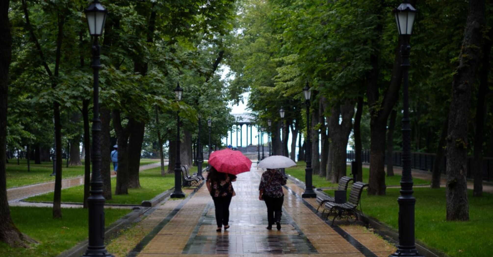 Погода в Київській області з 10 по 14 червня: освіжаючі дощі після тепла
