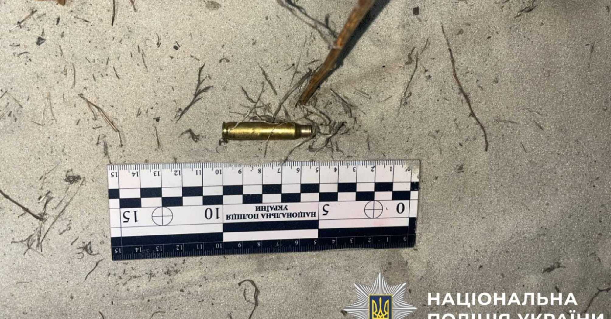 На Київщині мисливцеві висунули підозру у вбивстві собаки за статтею 299 ККУ