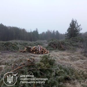 Практично 23 мільйони за вирубані ліси та забруднені території: на Житомирщині викривають серйозні екологічні правопорушення