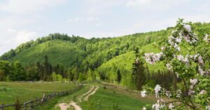 Іменинники 13 жовтня: хто сьогодні вшанований у церкві