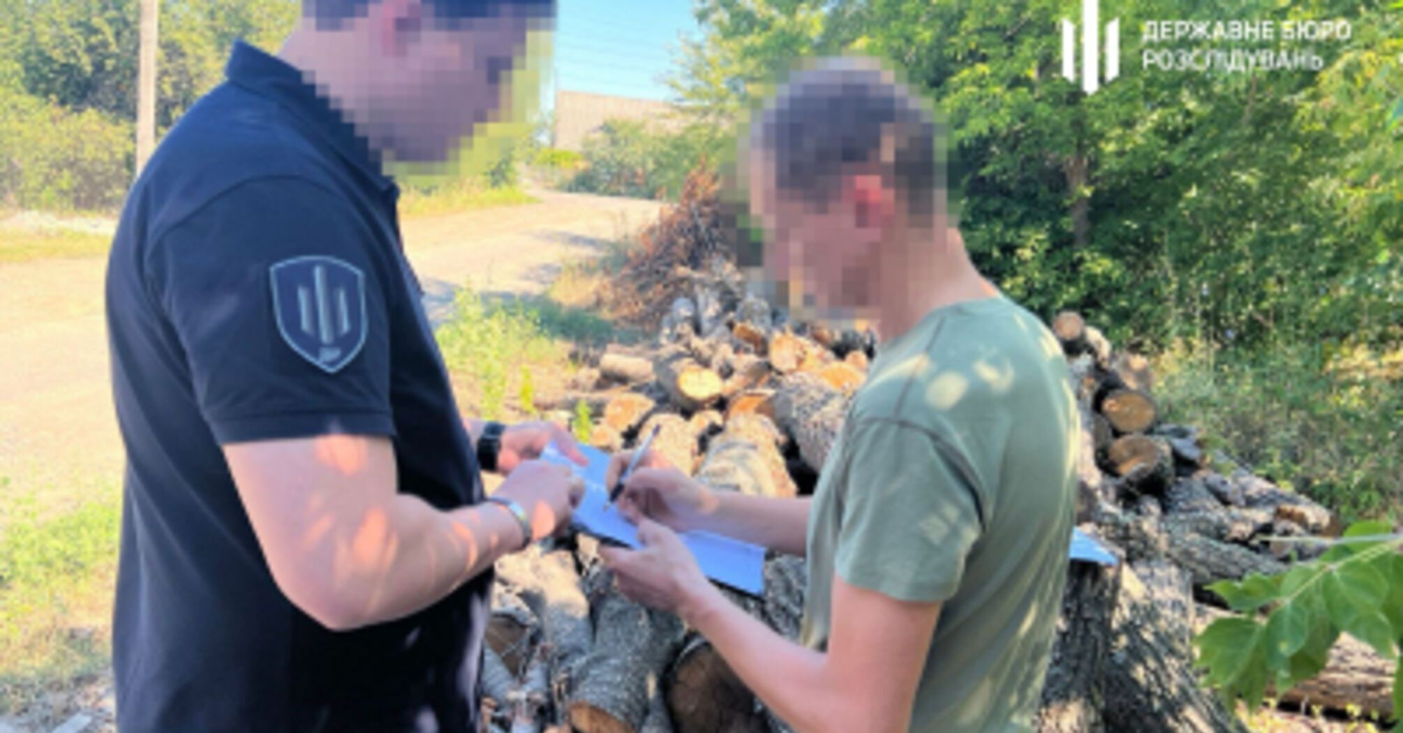 Посадовець лісгоспу Кіровоградщини понесе відповідальність за знищення старих дерев