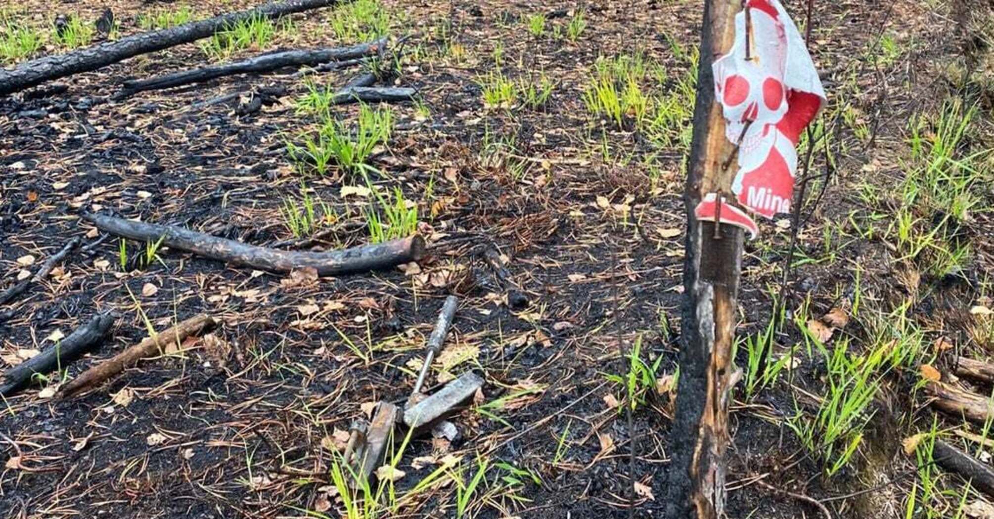 На кордоні з Білорусю сталися вибухи в двох автомобілях — п’ятеро людей загинули