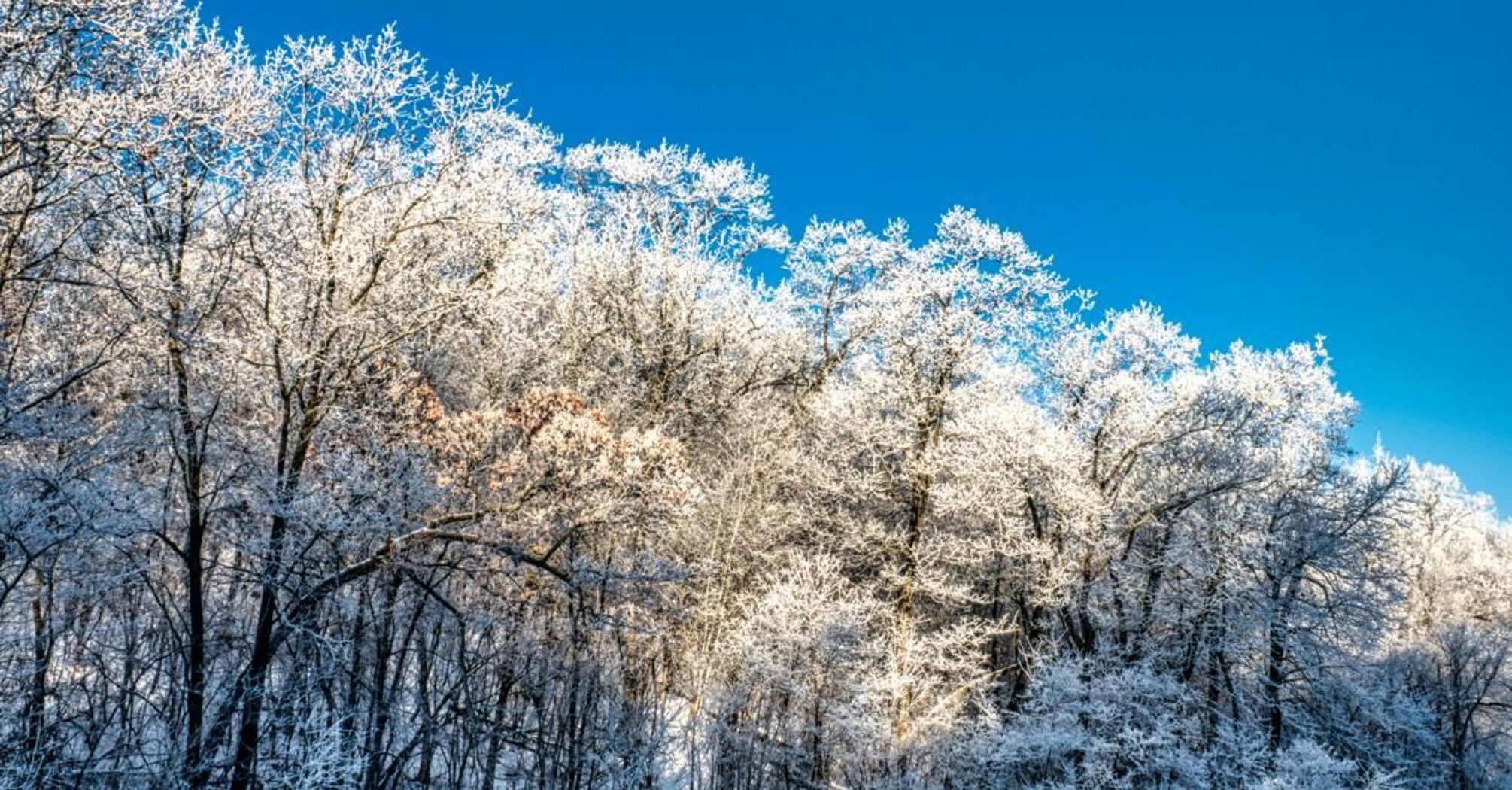 В Україні суттєво знизиться температура: синоптики озвучили дату з -12°C та час повернення тепла