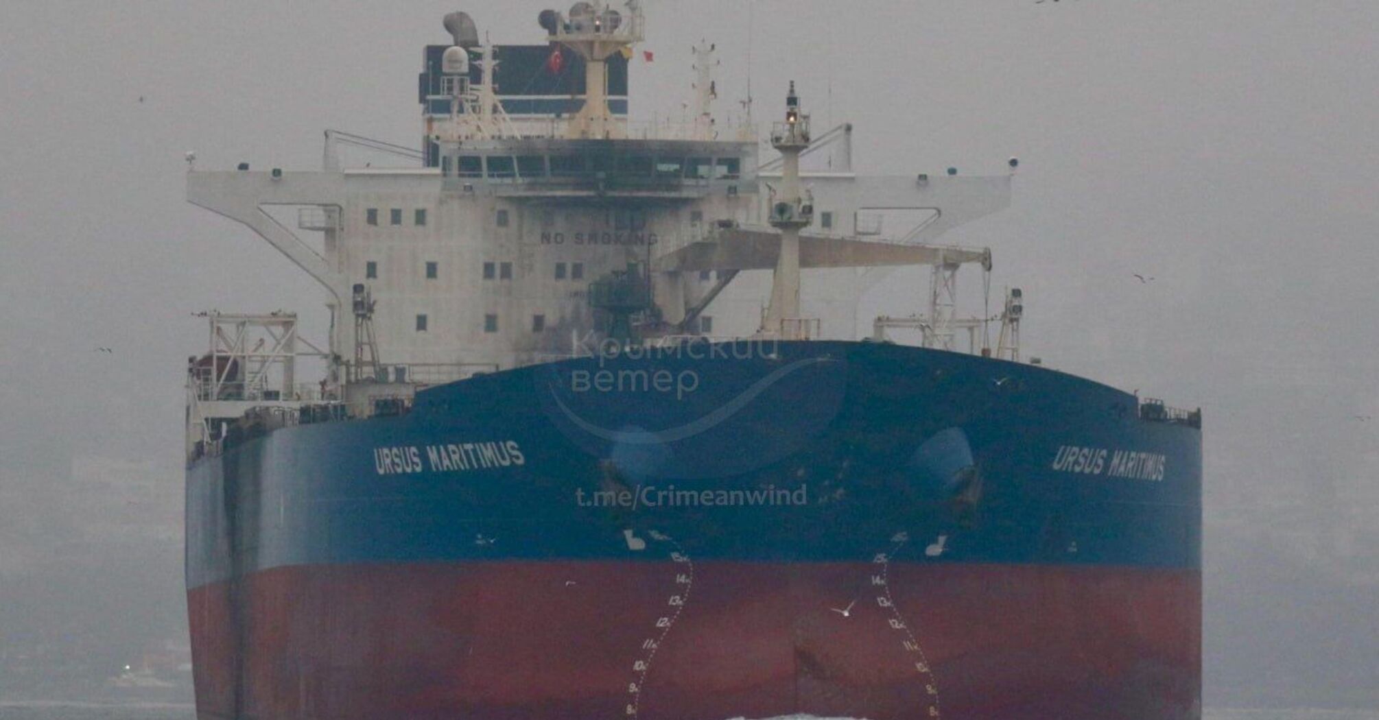 Танкер Ursus Maritimus з ухваленою пробоїною виявили в турецькому порту
