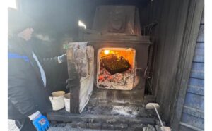 В Україні є ризик потрапляння небезпечних шкідників, що загрожує садівництву, городам та кімнатним рослинам