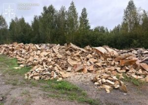 На Житомирщині судитимуть групу осіб за незаконний видобуток пісковику у великих обсягах